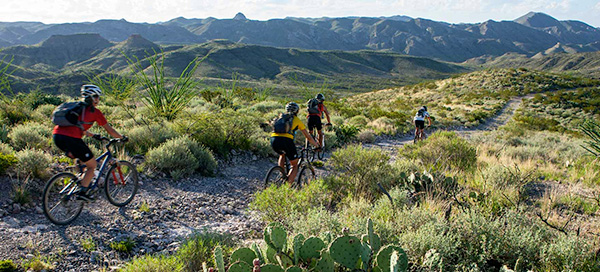 Chihuahuan Desert, Texas