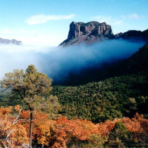 Aerial-Based and Insitu Observations as a Key Driver to Expand The Knowledge of The Chihuahuan Desert and Agro-Ecosystems in Texas by Norton Siano Ribeiro de Freitas
