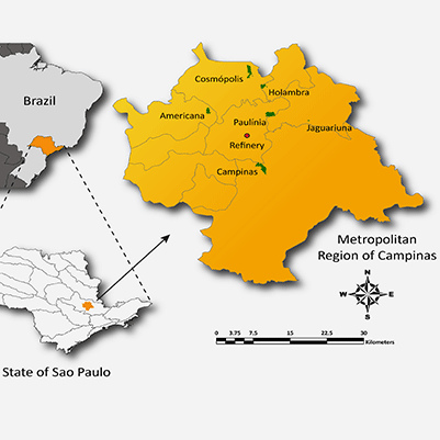 Documenting And Understanding Biochemical Changes Affecting The Sustainability of Tropical Forest Ecosystem Services in Southeastern Brazil by Norton Siano Ribeiro de Freitas