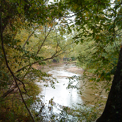 Brazil Nut Cultivation For Sustainable Development In The Amazon by Norton Siano Ribeiro de Freitas