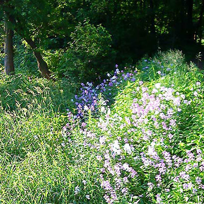 Analysis of Strenghts, Weakenesses, Possibilities and Pitfalls of Ecosystem Accounting