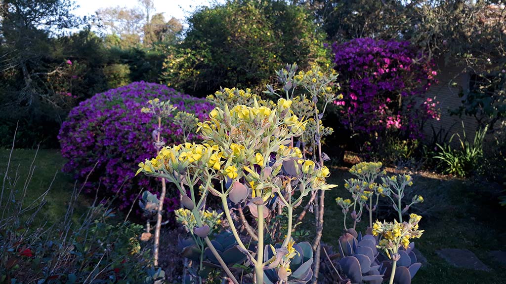 Analysis of Strengths, Weaknesses, Possibilities and Pitfalls of ecosystem accounting to support the delivery of biodiversity conservation